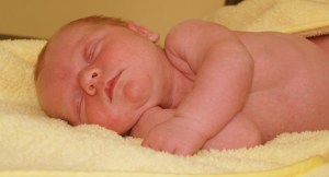 newborn-392990_640
