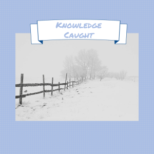 Knowledge Caught