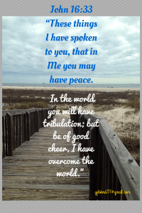 John 16_33“These things I have spoken to