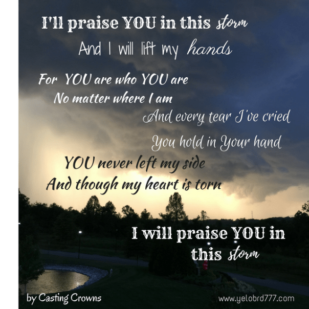 Praise you in the storm
