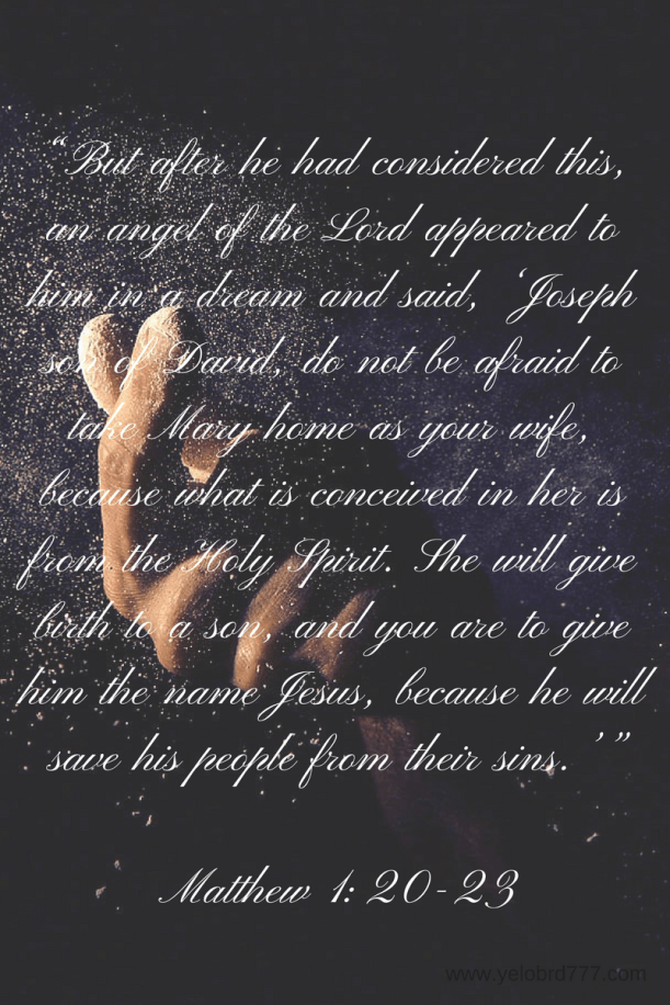 matt-1_20-23