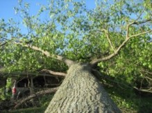 image-2-28-17-at-7-53-pm