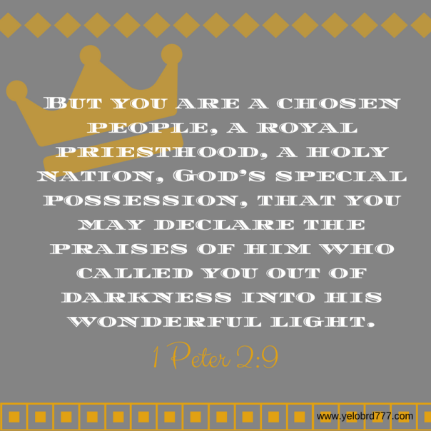1Peter 2_9