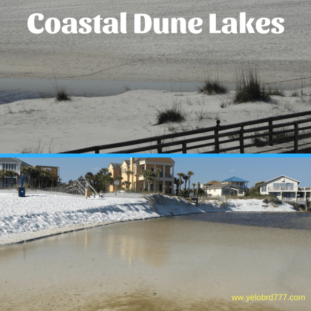 Dune lakes