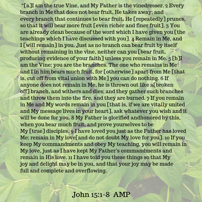 John 15:1-8