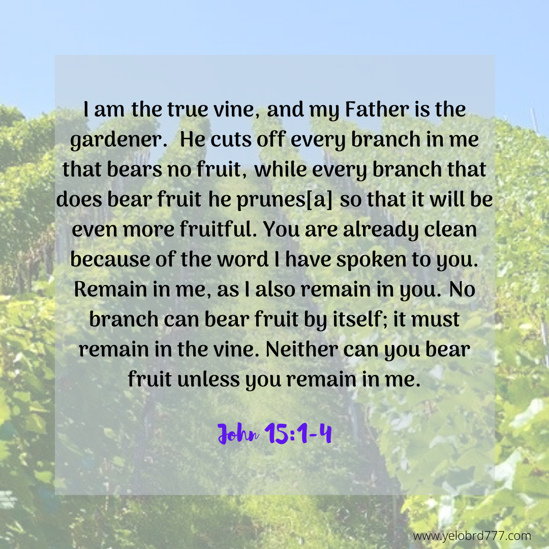 John 15-1-4