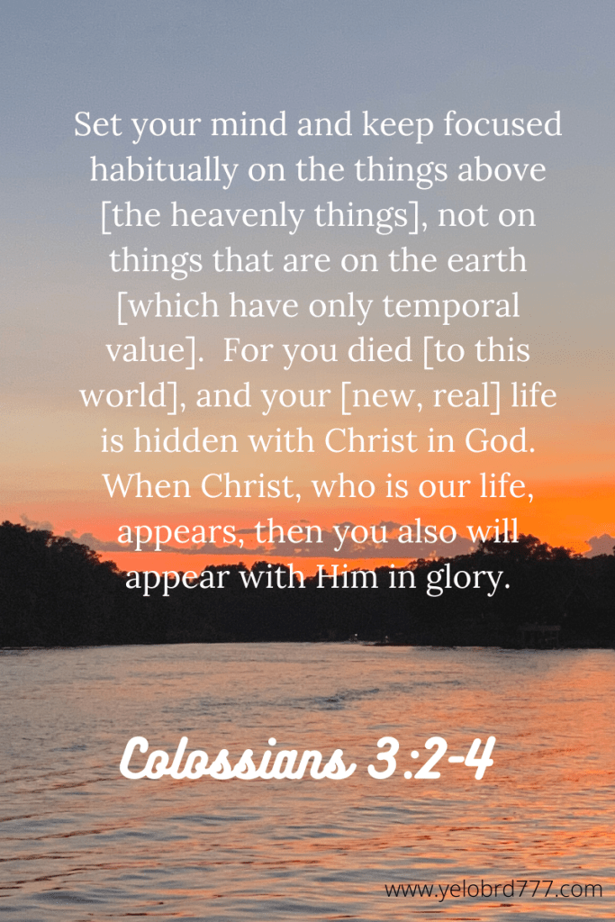 Colossians 3_2-4